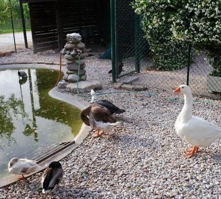 Al Convento Favaro Veneto