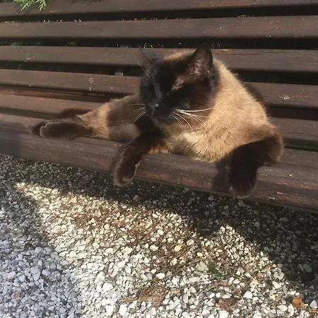 Πανδοχείο Al Convento *