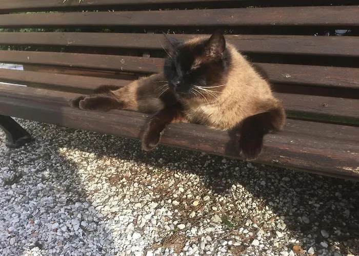 Gasthof Al Convento *