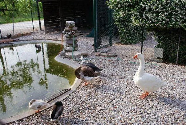 Al Convento Favaro Veneto